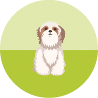 Adopții și Vânzări Animale